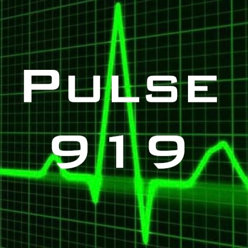 Pulse 919 Massage